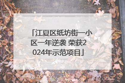 江夏区纸坊街一小区一年逆袭 荣获2024年示范项目