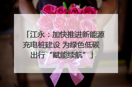 江永：加快推进新能源充电桩建设 为绿色低碳出行“赋能续航”