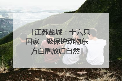 江苏盐城：十六只国家一级保护动物东方白鹳放归自然