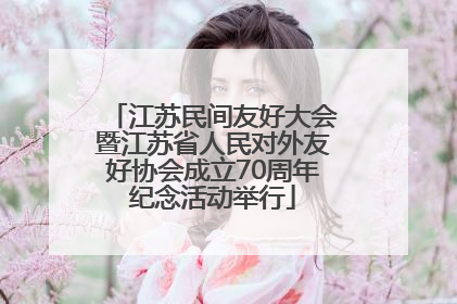 江苏民间友好大会暨江苏省人民对外友好协会成立70周年纪念活动举行