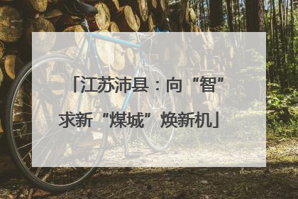 江苏沛县：向“智”求新“煤城”焕新机