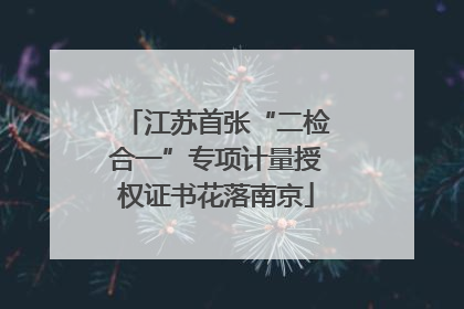 江苏首张“二检合一”专项计量授权证书花落南京