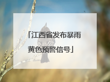 江西省发布暴雨黄色预警信号