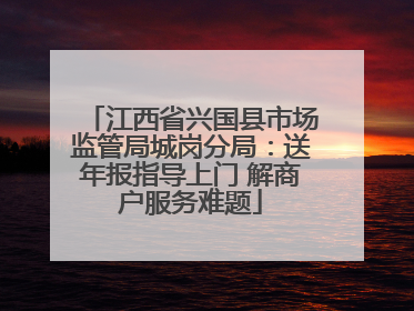 江西省兴国县市场监管局城岗分局：送年报指导上门 解商户服务难题