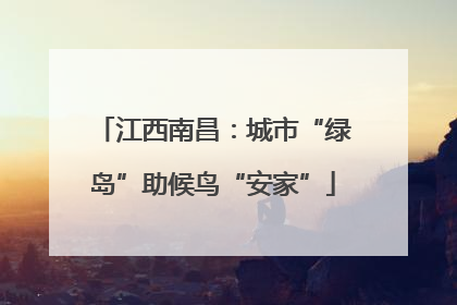 江西南昌：城市“绿岛”助候鸟“安家”