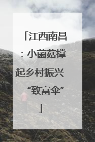 江西南昌：小菌菇撑起乡村振兴“致富伞”