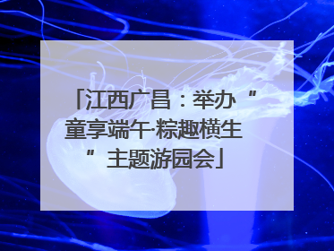 江西广昌：举办“童享端午·粽趣横生”主题游园会