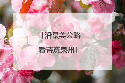 沿最美公路 看诗意泉州
