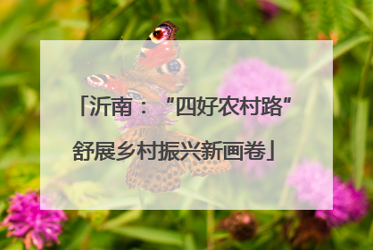 沂南：“四好农村路”舒展乡村振兴新画卷