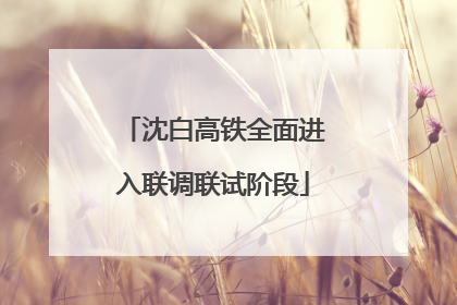 沈白高铁全面进入联调联试阶段