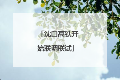 沈白高铁开始联调联试