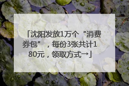 沈阳发放1万个“消费券包”，每份3张共计180元，领取方式→