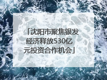 沈阳市聚焦银发经济释放530亿元投资合作机会