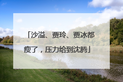 沙溢、贾玲、贾冰都瘦了，压力给到沈腾