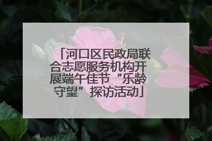 河口区民政局联合志愿服务机构开展端午佳节“乐龄守望”探访活动