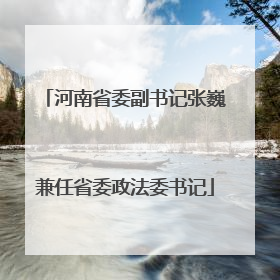 河南省委副书记张巍兼任省委政法委书记