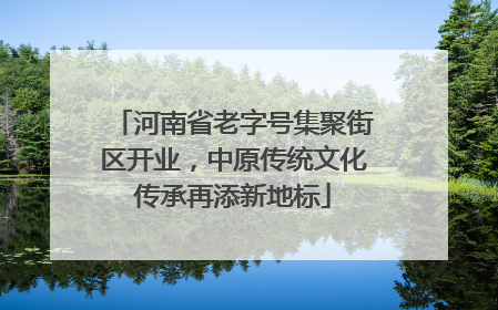 河南省老字号集聚街区开业，中原传统文化传承再添新地标