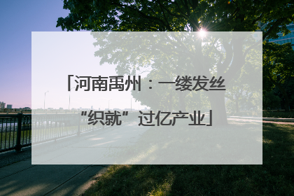 河南禹州：一缕发丝“织就”过亿产业