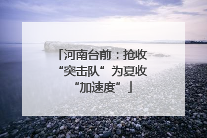 河南台前：抢收“突击队”为夏收“加速度”
