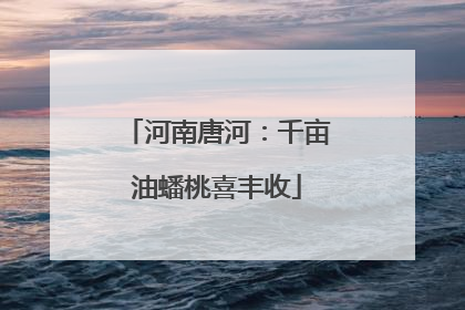 河南唐河：千亩油蟠桃喜丰收
