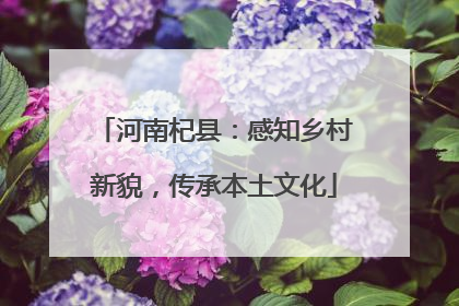 河南杞县：感知乡村新貌，传承本土文化