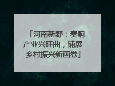 河南新野：奏响产业兴旺曲，铺展乡村振兴新画卷