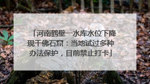 河南鹤壁一水库水位下降现千佛石窟：当地试过多种办法保护，目前禁止打卡