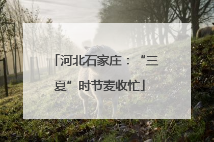 河北石家庄：“三夏”时节麦收忙