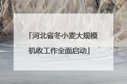 河北省冬小麦大规模机收工作全面启动