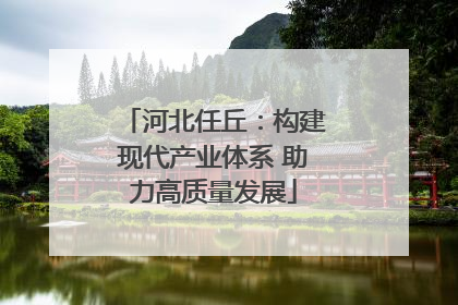 河北任丘：构建现代产业体系 助力高质量发展