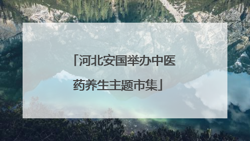 河北安国举办中医药养生主题市集