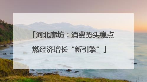 河北廊坊：消费势头稳点燃经济增长“新引擎”