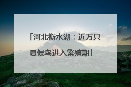 河北衡水湖：近万只夏候鸟进入繁殖期