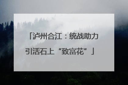 泸州合江：统战助力引活石上“致富花”