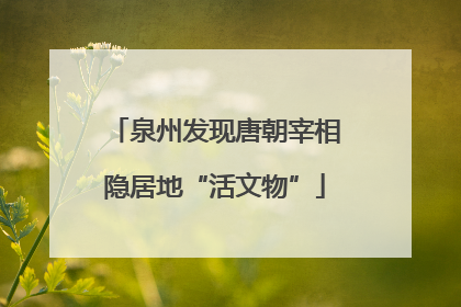 泉州发现唐朝宰相隐居地“活文物”
