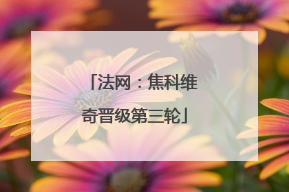 法网：焦科维奇晋级第三轮