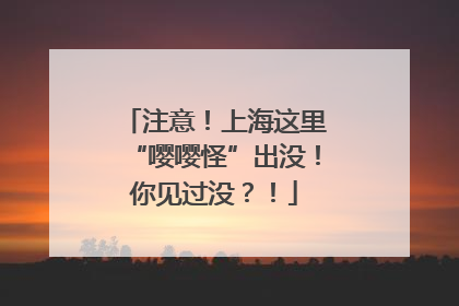 注意！上海这里“嘤嘤怪”出没！你见过没？！