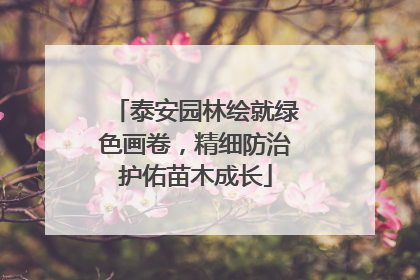 泰安园林绘就绿色画卷，精细防治护佑苗木成长