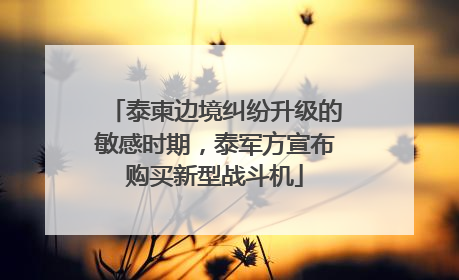泰柬边境纠纷升级的敏感时期，泰军方宣布购买新型战斗机