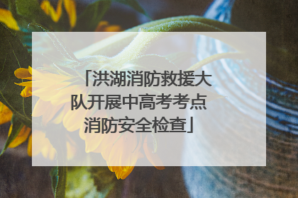 洪湖消防救援大队开展中高考考点消防安全检查