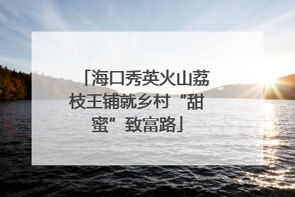 海口秀英火山荔枝王铺就乡村“甜蜜”致富路
