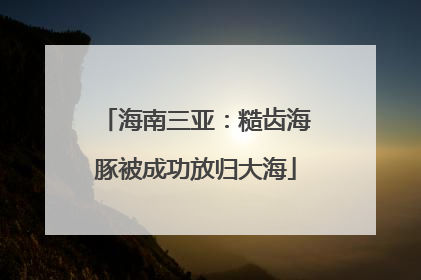 海南三亚：糙齿海豚被成功放归大海