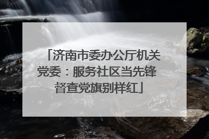 济南市委办公厅机关党委：服务社区当先锋 督查党旗别样红