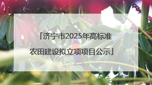 济宁市2025年高标准农田建设拟立项项目公示