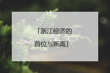 浙江经济的首位与新高