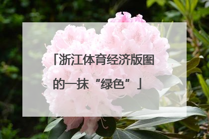 浙江体育经济版图的一抹“绿色”
