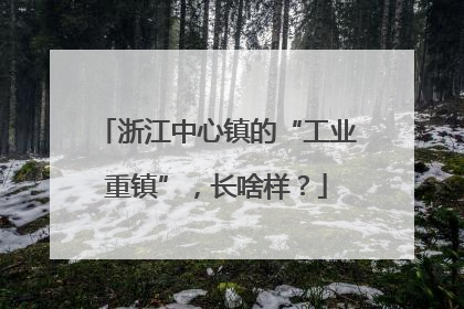 浙江中心镇的“工业重镇”，长啥样？