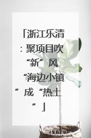 浙江乐清：聚项目吹“新”风 “海边小镇”成“热土”