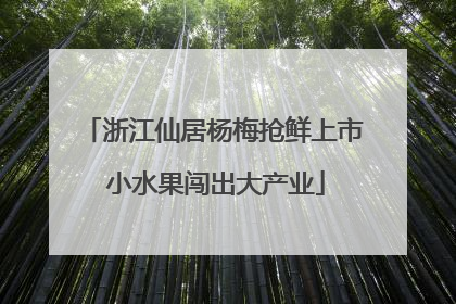浙江仙居杨梅抢鲜上市 小水果闯出大产业