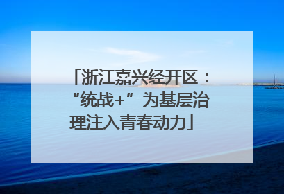 浙江嘉兴经开区：“统战+”为基层治理注入青春动力